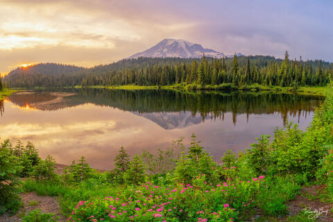 Best Landscape Photography Locations in Mount Rainier National Park