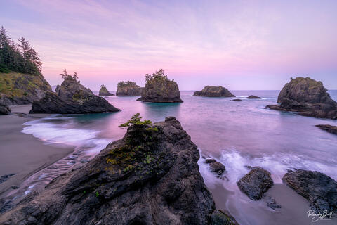 OREGON COAST NATURE AND SEASCAPE PHOTOGRAPHY