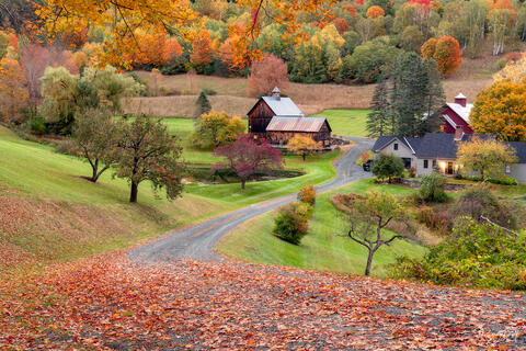 East Coast Fall Color Road Trip