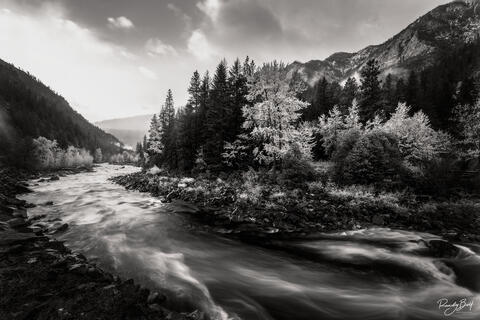 ANSEL ADAMS | INFLUENCE IN BLACK AND WHITE PHOTOGRAPHY