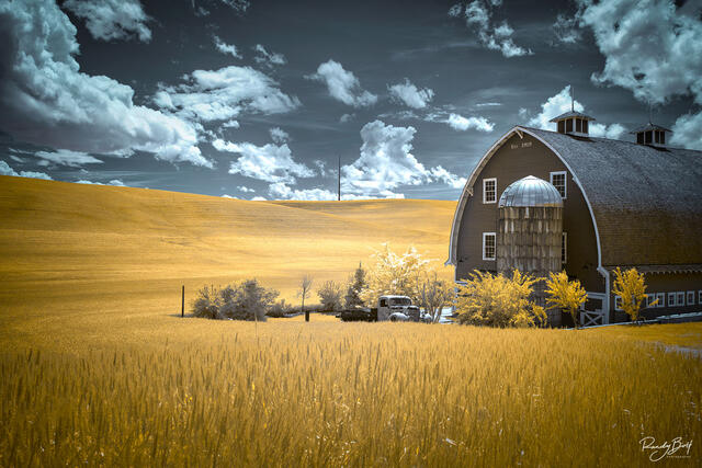 SURREAL INFRARED | BEYOND VISIBLE LIGHT | SKYLINE AND NATURE PRINTS