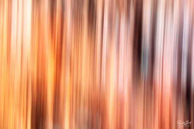 motion blur at bryce canyon national park