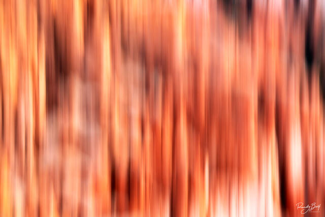 motion blur at bryce canyon national park with the hoodoos.