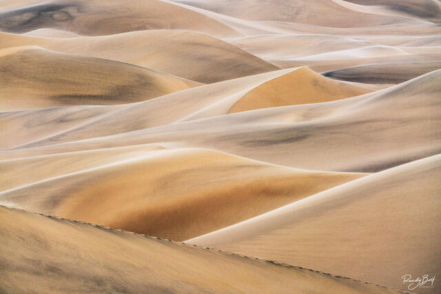 mesquite flat sand dunes in Death Valley national park at sunset.