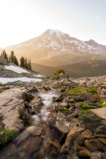 sunset of mont rainier with a flowing stream out of a small tarn.