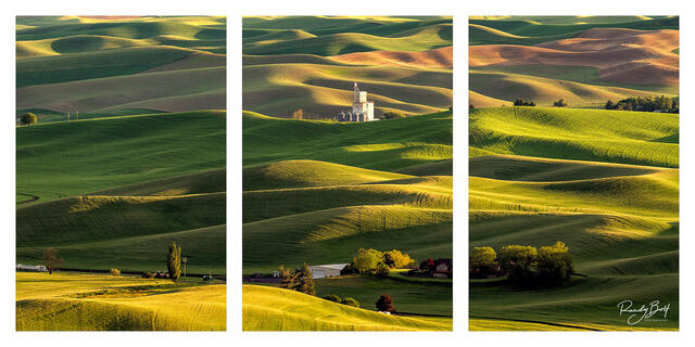 triptych image from the Palouse region of washington state.