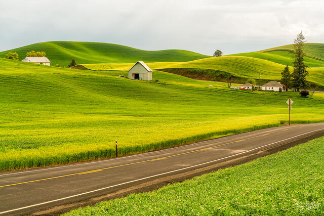 a lone farm on hwy 272 near Colfax, Washington