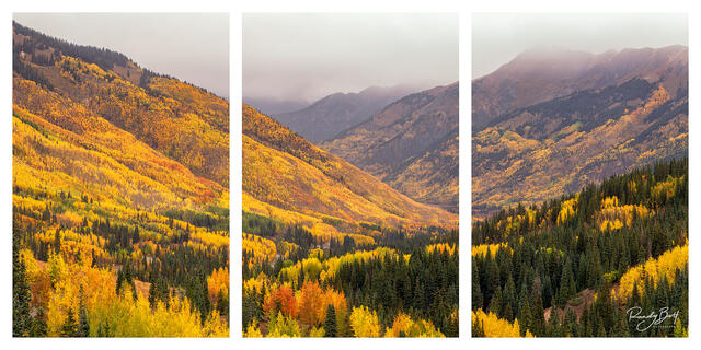 triptych images of the million dollar highway in colorado during fall color.