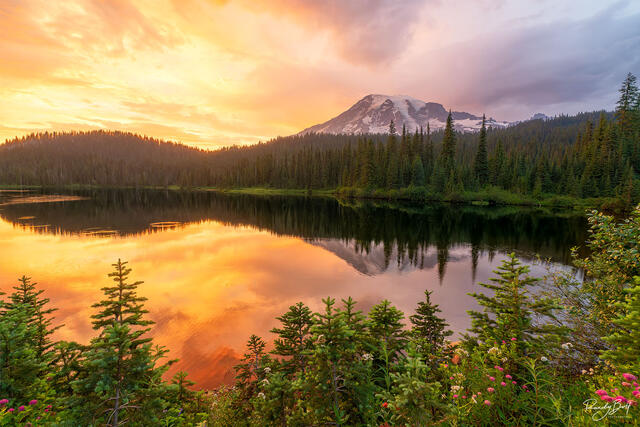 sunset over reflection lakes in mount rainier national park.