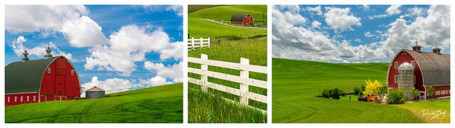 red barns of the Palouse triptych.
