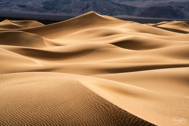 abstract photography of mesquite dunes in Death Valley national park during sunset.