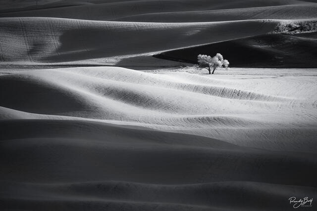 Infrared Editing Tutorial