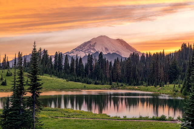 Sunset at Tipsoo lake reflecting Mount Rainier during a calm evening.