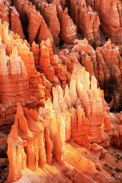 Castles of Bryce