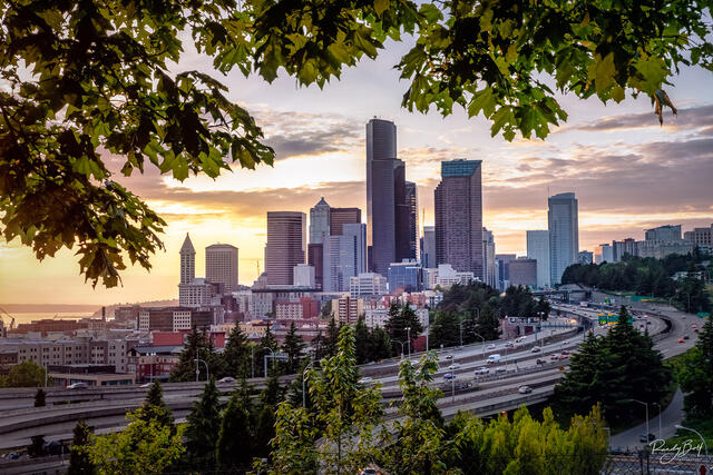 downtown seattle framed by leaves from Jose Rizal Bridge