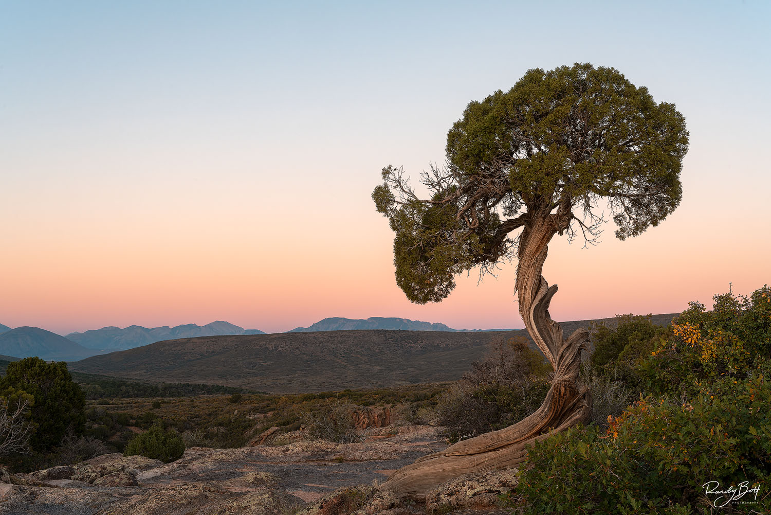 Best websites to purchase fine art photography.