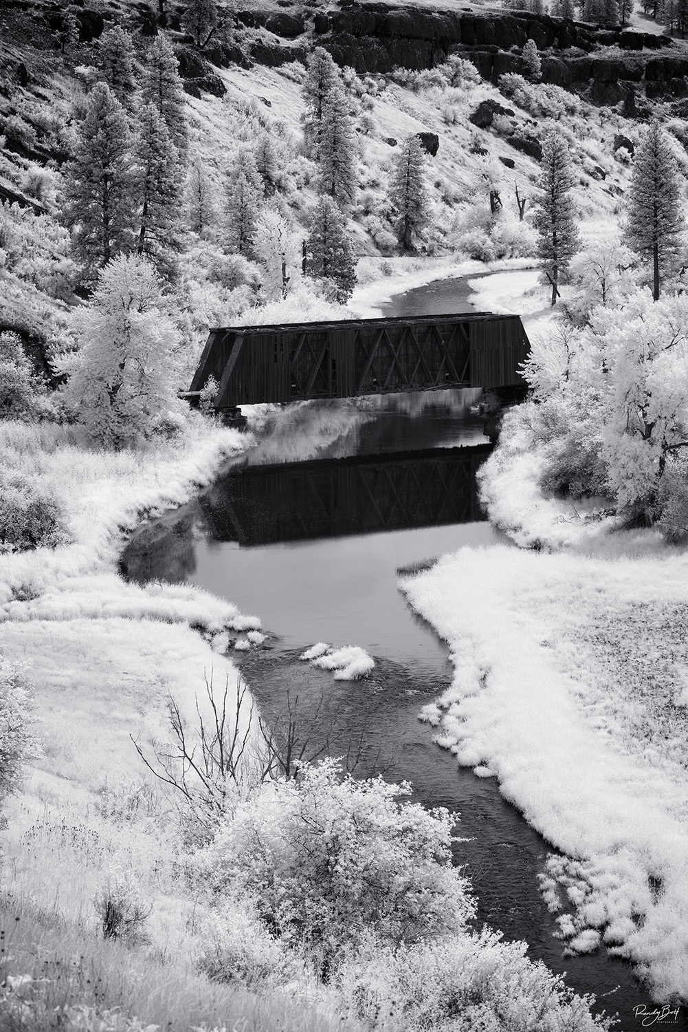 Covered Bridge Covered Bridge in Colfax washington using a black and white infrared filter on a full spectrum converted camera.