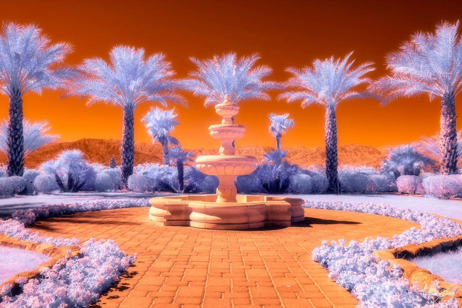 Infrared photograph of Palm trees and fountain at the Inn at Death Valley hotel.
