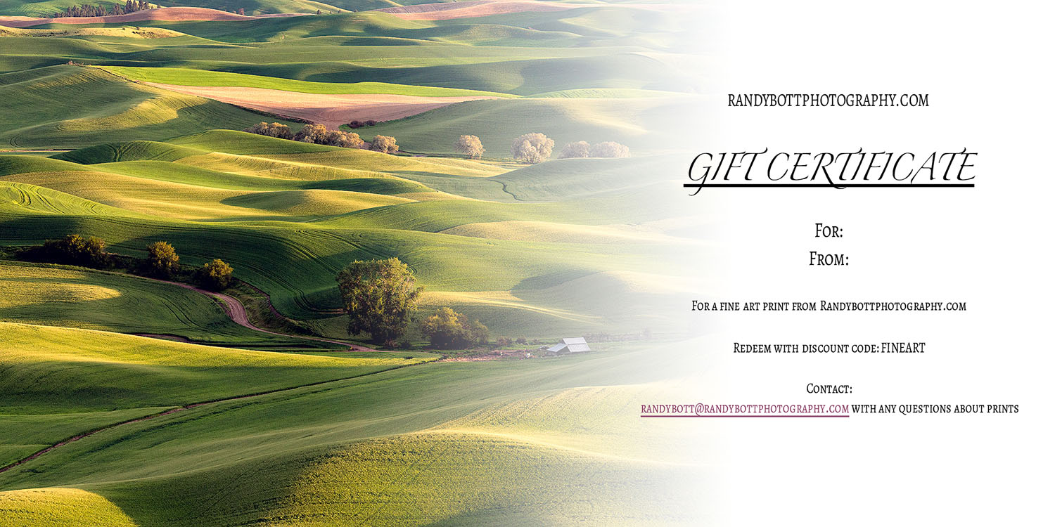 gift certificate for fine art prints