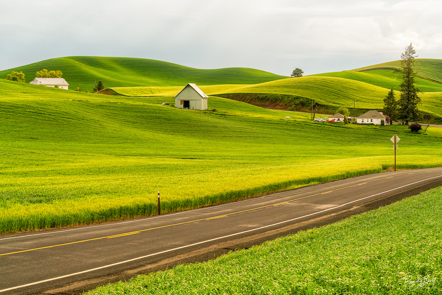 Hwy 272 Z a lone farm on hwy 272 near Colfax, Washington