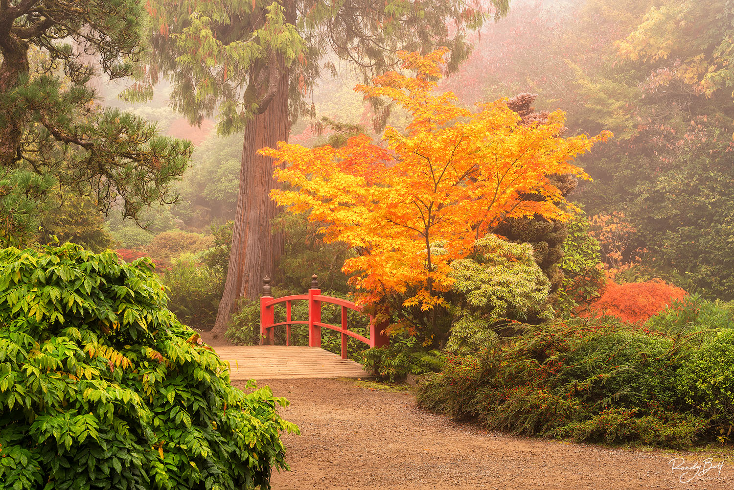 Orange Tree Bridge fall color at Kubota garden in Seattle