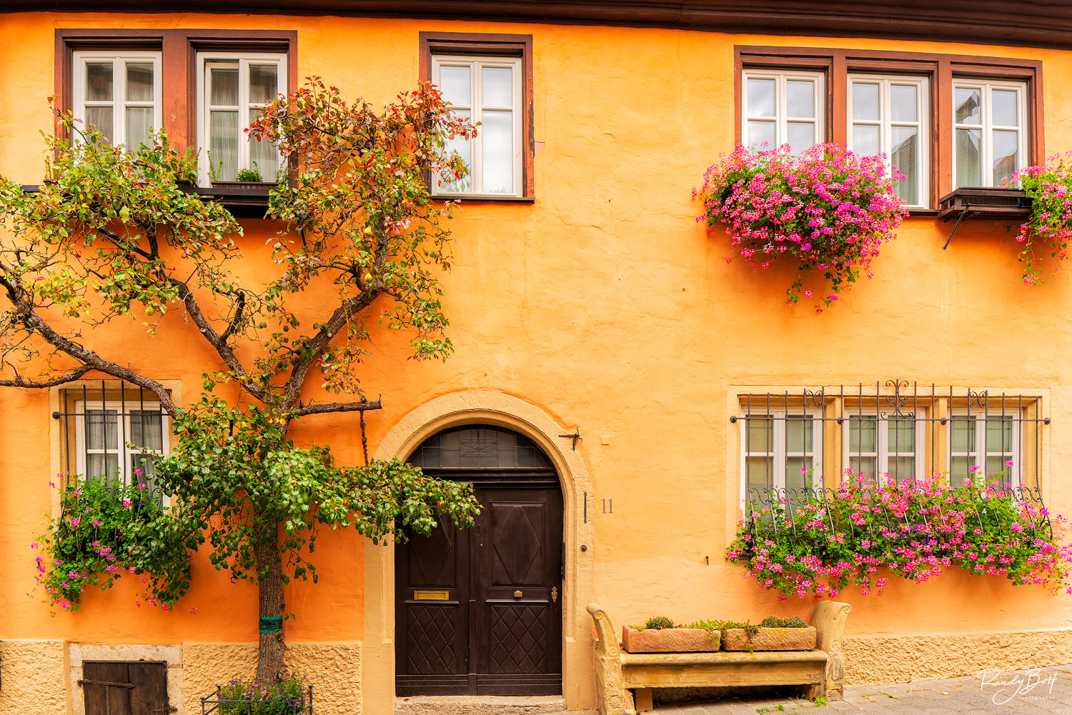 window flowers and a tree against a wall with a brown, wooden door in Rothenburg ob der tuber, Germany in the morning light.