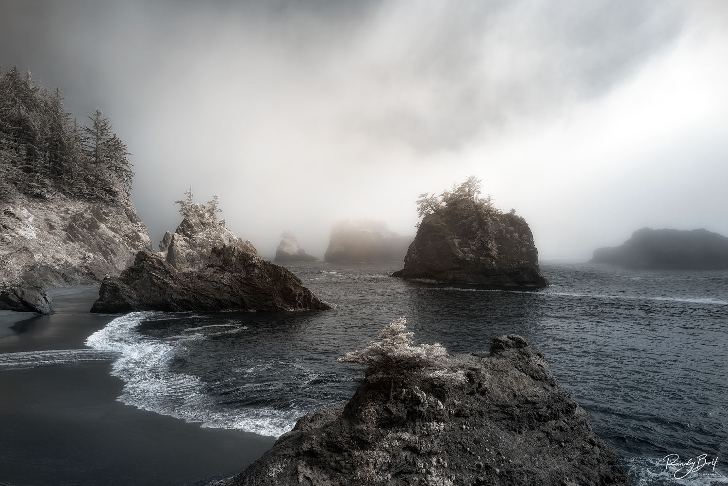 purchasing infrared wall art for home.