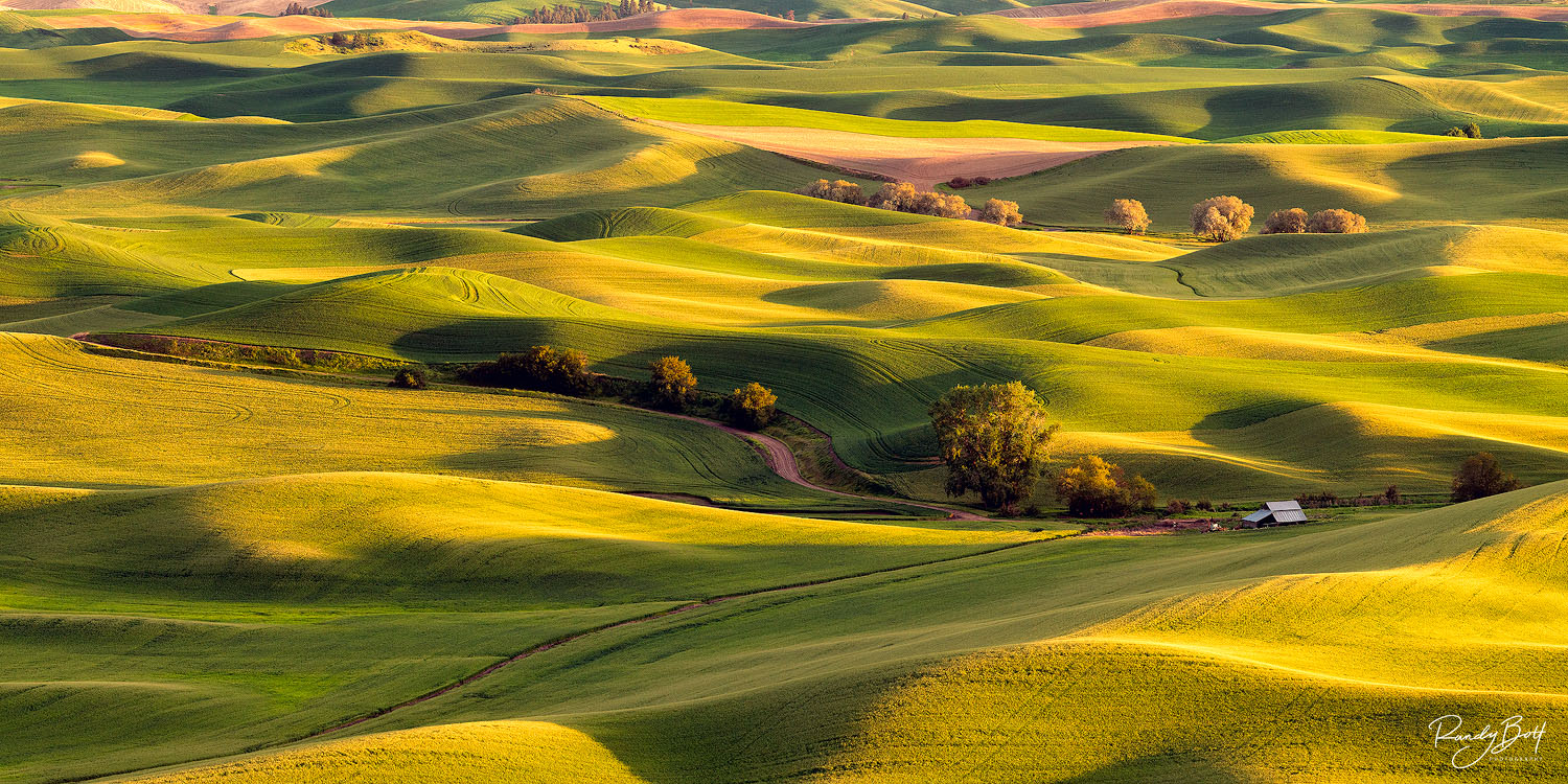 Why photographing the Palouse is a must for all landscape photographers.