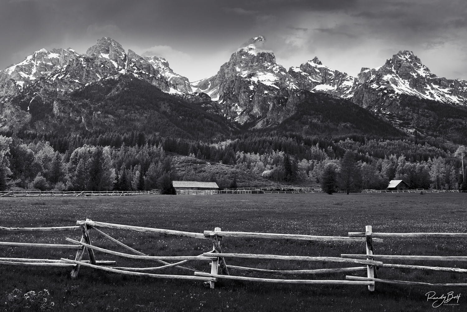 Teton Fences Black and white photo of the grand Teton mountains with fences and barns