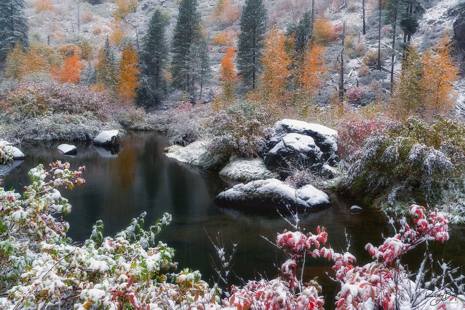 Tumwater Snow Fall fall color and snow in the Tumwater Canyon near Leavenworth, Washington