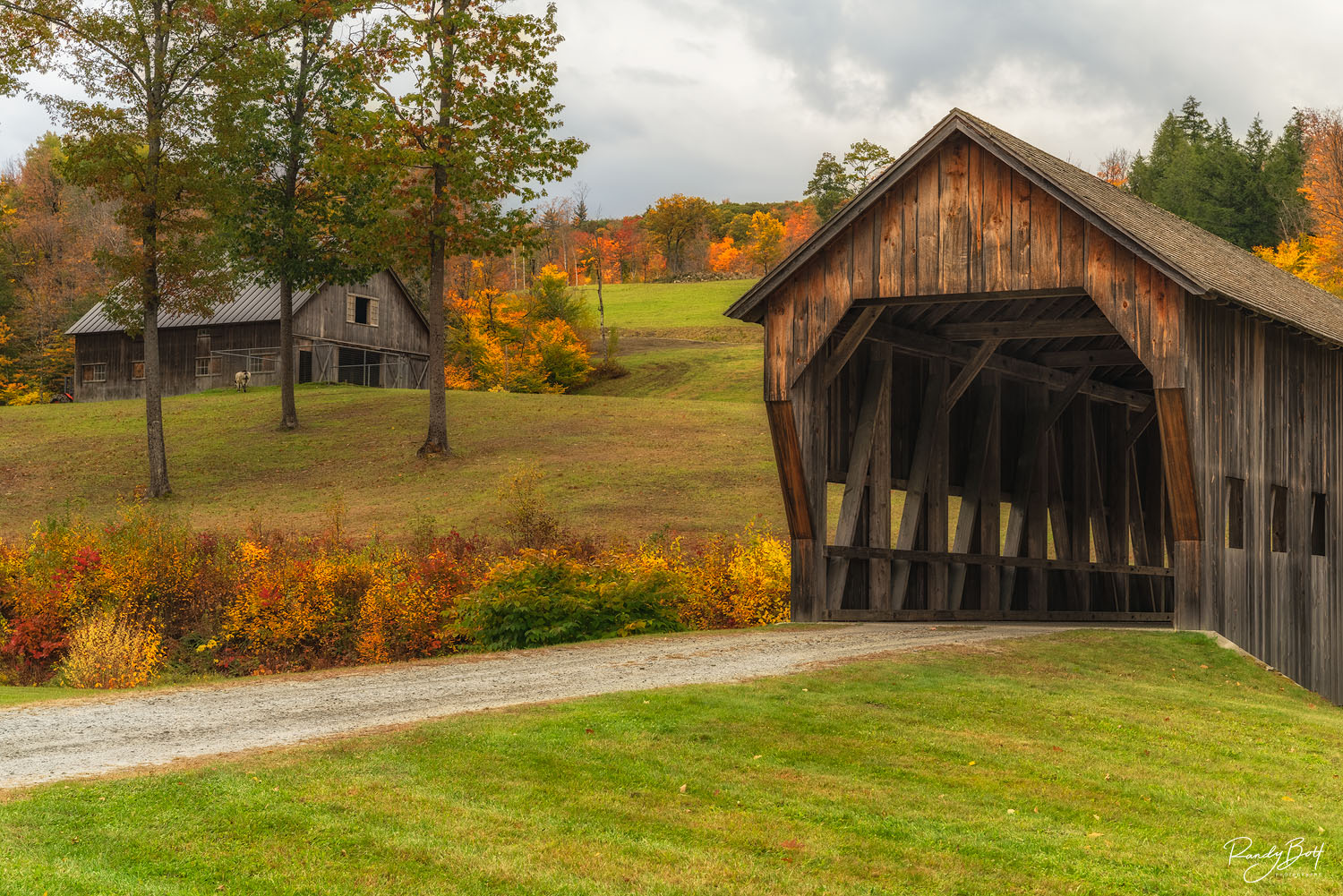 Vermont Farmstead fall color in Vermont with a covered bridge and barn.